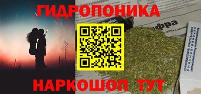 мдпв Лесосибирск